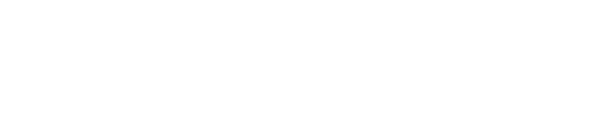 Soluciones Gráficas